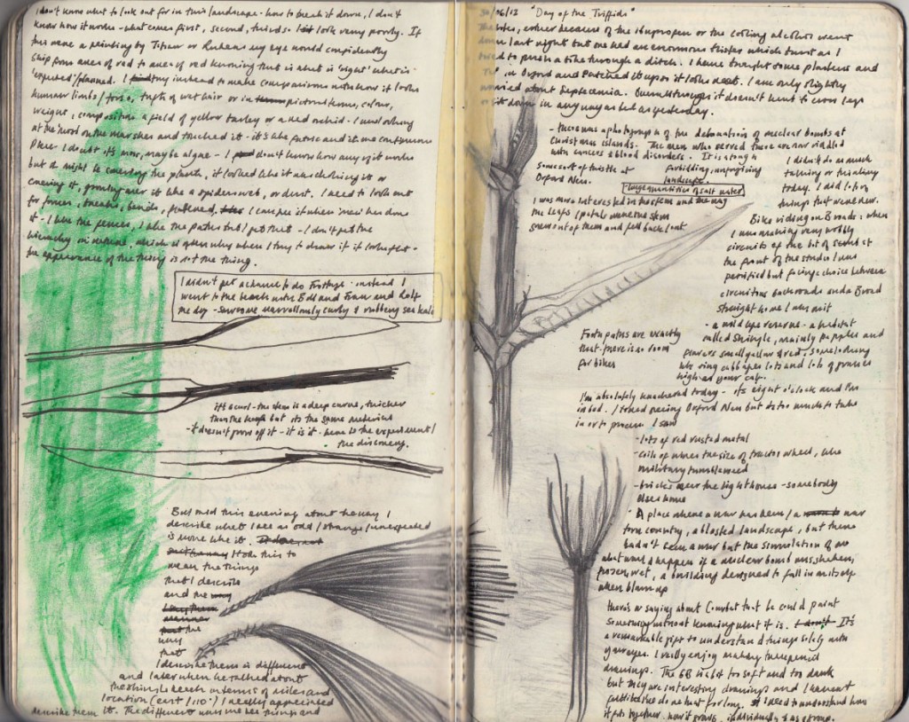 sketchbook_jurasicplants